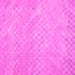 Square Abstract Pink Contemporary Rug, con975pnk