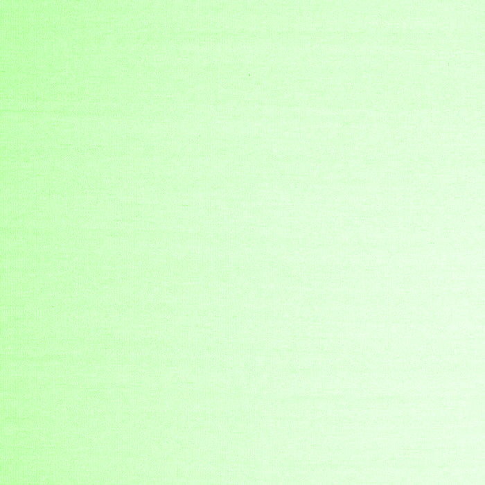 Solid Green Modern Rug, con983grn