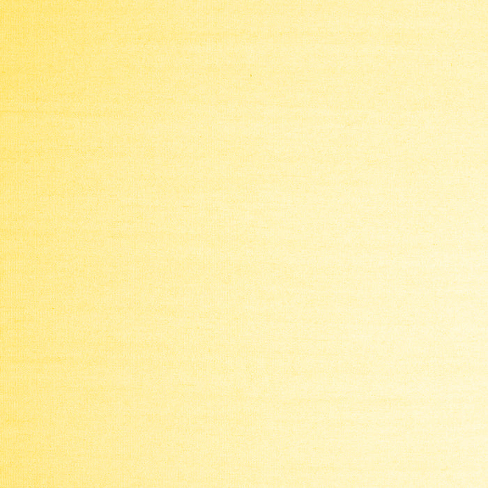 Machine Washable Solid Yellow Modern Rug, wshcon983yw