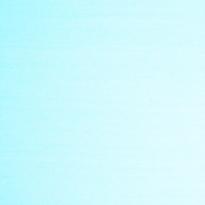 Solid Light Blue Modern Rug, con983lblu