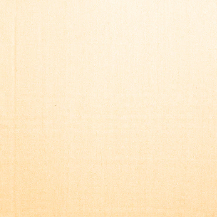 Square Machine Washable Solid Brown Modern Rug, wshcon983brn