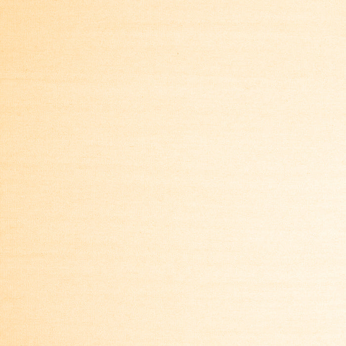 Solid Brown Modern Rug, con983brn