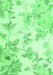 Machine Washable Floral Emerald Green Coastal Area Rugs, wshcon984emgrn