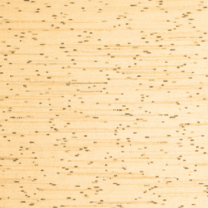 Machine Washable Solid Brown Modern Rug, wshcon995brn