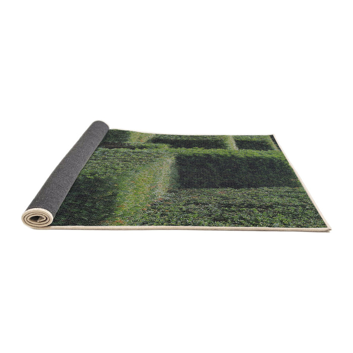 Thickness of Patterned Green Novelty Rug, pat1624