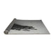 Thickness of Patterned Silver Gray Novelty Rug, pat1728