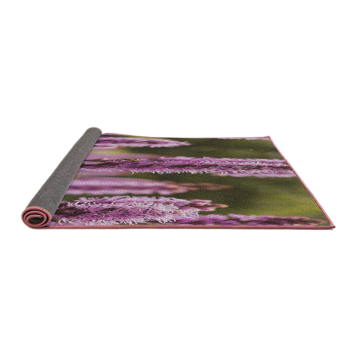 Thickness of Patterned Maroon Purple Novelty Rug, pat2100
