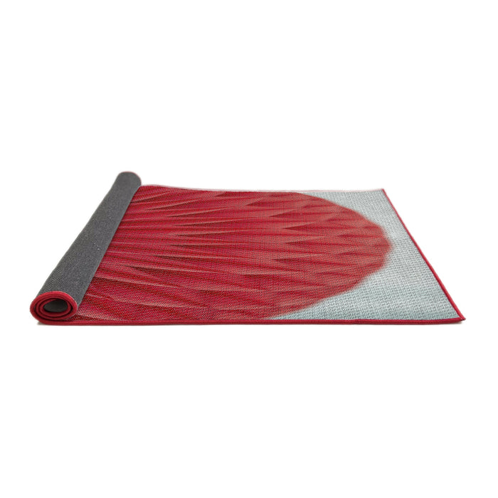 Thickness of Patterned Red Novelty Rug, pat2135