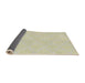 Thickness of Patterned Peach Beige Novelty Rug, pat2668