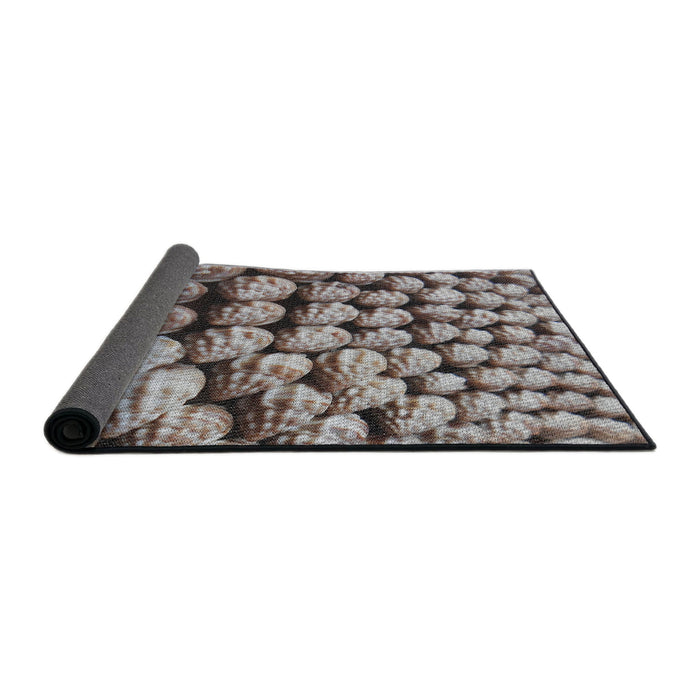 Thickness of Patterned Dark Brown Novelty Rug, pat2866