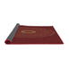 Thickness of Patterned Red Novelty Rug, pat472