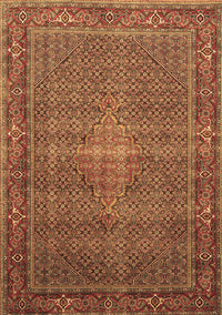 Persian Brown Traditional Rug, tr1005brn