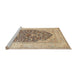 Sideview of Machine Washable Traditional Brown Gold Rug, wshtr1008