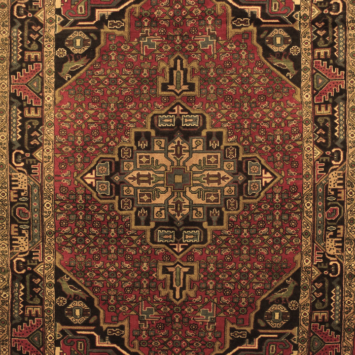 Medallion Brown Traditional Rug, tr100brn