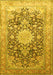 Medallion Yellow Traditional Rug, tr1010yw