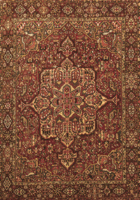 Persian Brown Traditional Rug, tr1013brn