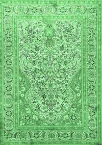 Persian Emerald Green Traditional Rug, tr1019emgrn