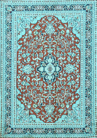 Medallion Light Blue Traditional Rug, tr1023lblu