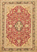 Machine Washable Medallion Brown Traditional Rug, wshtr1023brn