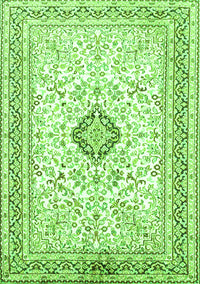 Medallion Green Traditional Rug, tr1026grn