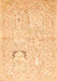 Animal Orange Traditional Rug, tr1027org