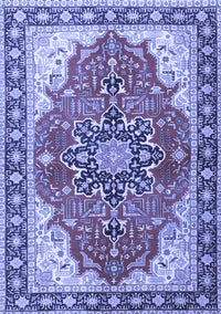 Medallion Blue Traditional Rug, tr1028blu