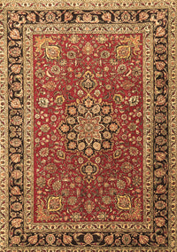 Medallion Brown Traditional Rug, tr1029brn