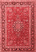 Medallion Red Traditional Area Rugs