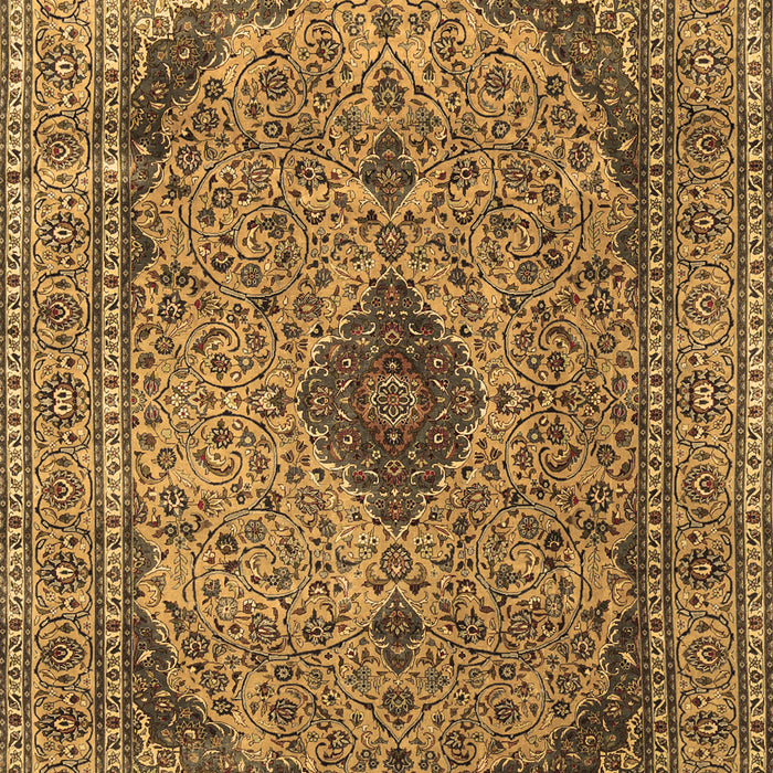 Machine Washable Medallion Brown Traditional Rug, wshtr1031brn