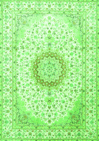 Medallion Green Traditional Rug, tr1032grn