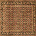 Square Persian Brown Traditional Rug, tr1033brn