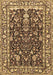 Persian Brown Traditional Rug, tr1034brn