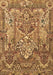 Animal Brown Traditional Rug, tr1036brn