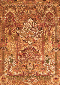 Animal Orange Traditional Rug, tr1036org