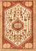 Persian Orange Traditional Rug, tr1039org