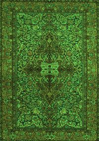 Persian Green Traditional Rug, tr103grn