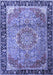 Medallion Blue Traditional Rug, tr1041blu