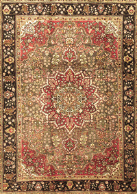 Medallion Brown Traditional Rug, tr1041brn