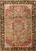 Medallion Brown Traditional Rug, tr1041brn