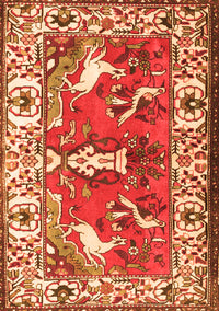 Animal Orange Traditional Rug, tr1042org