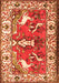 Animal Orange Traditional Rug, tr1042org