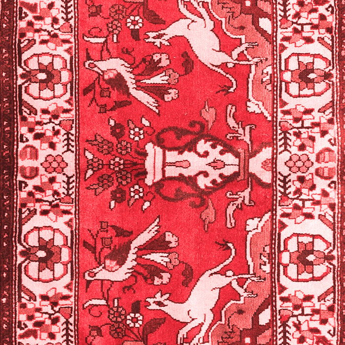 Machine Washable Animal Red Traditional Rug, wshtr1042red