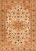 Persian Orange Traditional Rug, tr1046org