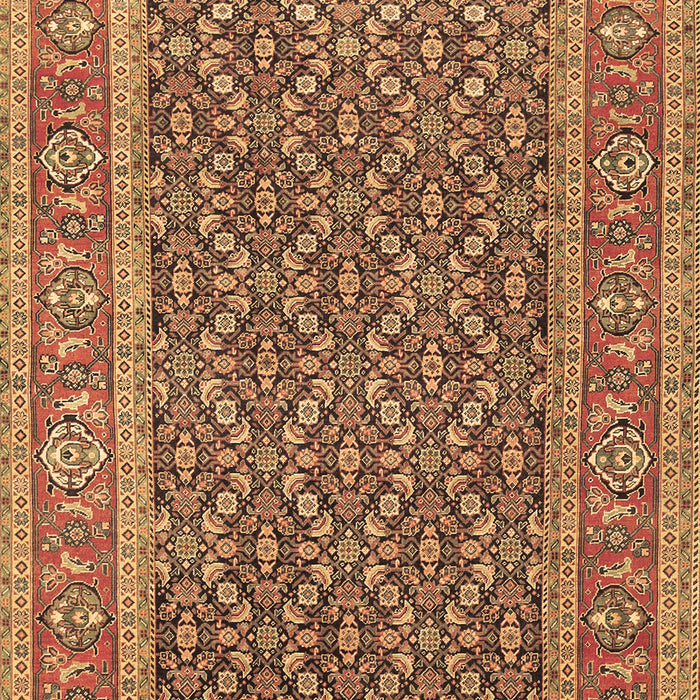 Machine Washable Persian Brown Traditional Rug, wshtr1047brn