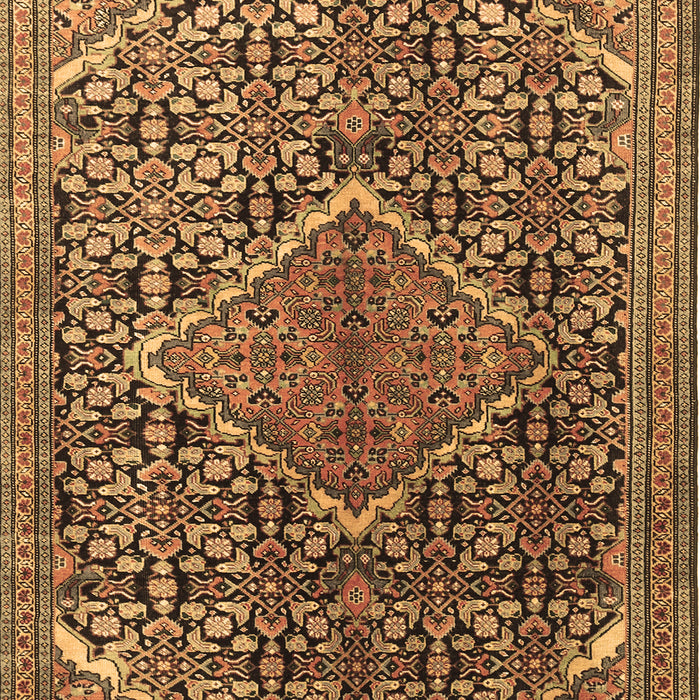 Persian Brown Traditional Rug, tr1048brn