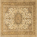 Square Machine Washable Medallion Brown Traditional Rug, wshtr1049brn