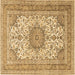 Square Medallion Brown Traditional Rug, tr1049brn
