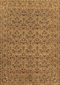 Persian Brown Traditional Rug, tr104brn