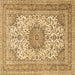 Square Machine Washable Medallion Brown Traditional Rug, wshtr1051brn