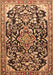 Machine Washable Medallion Brown Traditional Rug, wshtr1055brn